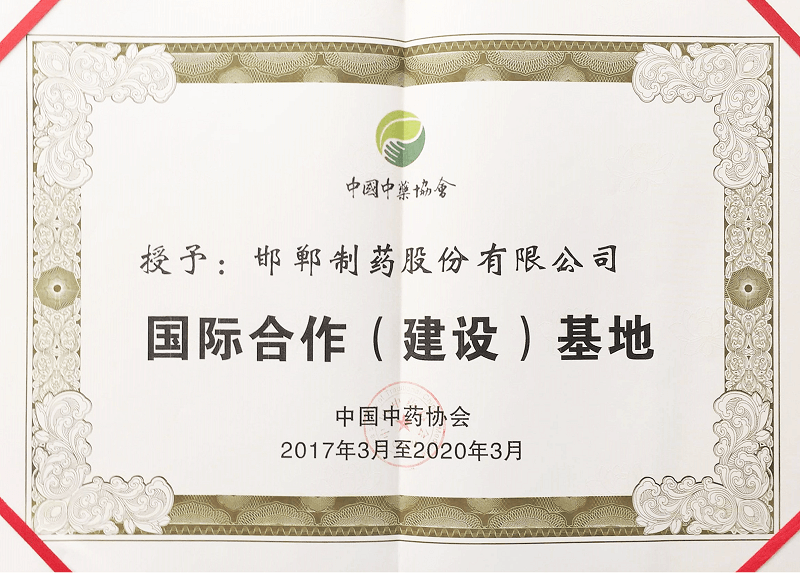 2017年國際合作（建設）基地